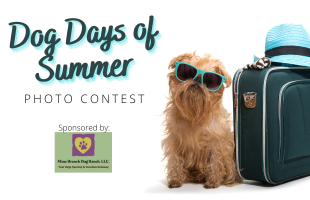 Dog Days of Summer Photo Contest